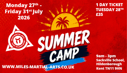 SUMMER CAMP 2026 - DAY TICKET