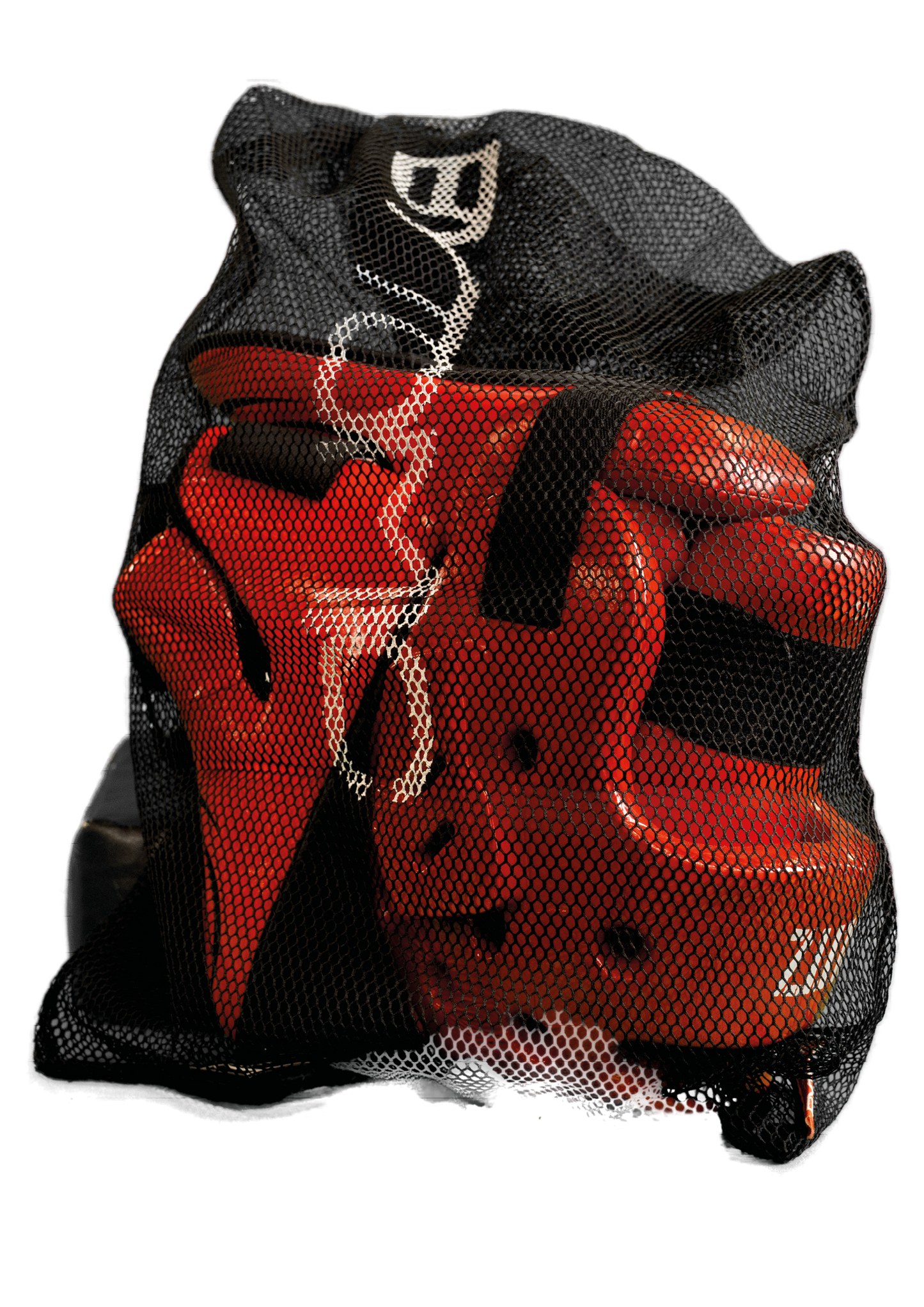 Mesh Kit Bag
